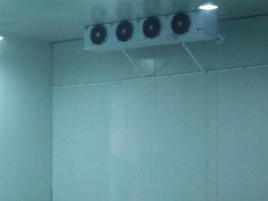 三個(gè)小技巧，輕松辨別真假冷庫安裝公司